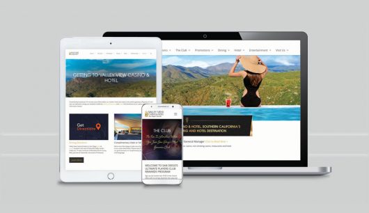 InnoVision-VVCH-Web-Portfolio-Preview-Image-4247